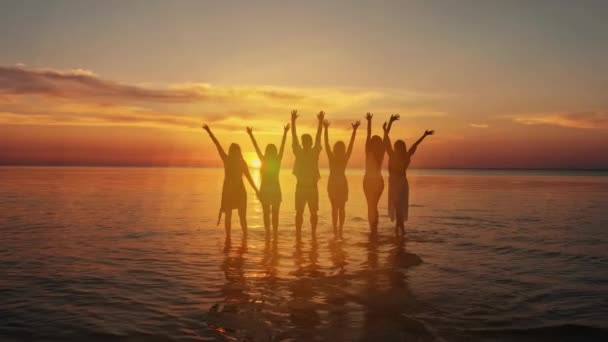 Велика група друзів стоїть на пляжі заходу сонця. концепція пікніка вихідних — стокове відео