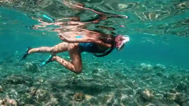Підводні дівчата снорклінг в прозорій тропічній воді на кораловому рифі. Молода жінка плаває над яскравим кораловим рифом у морі на тлі тропічного пляжу — стокове відео