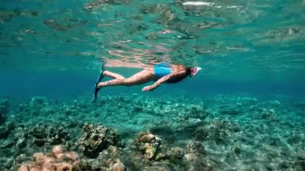 マスクは、透明な水でシュノーケ リングを持つ女性。若い女性は、熱帯の海のサンゴ礁でシュノーケ リングします。熱帯の海でシュノーケ リング マスクを持つ女性 — ストック動画