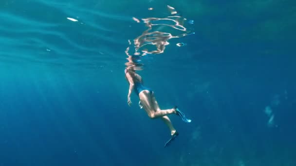 Fashionable and athletic girl diver alone in the depths of the ocean. — Stock Video