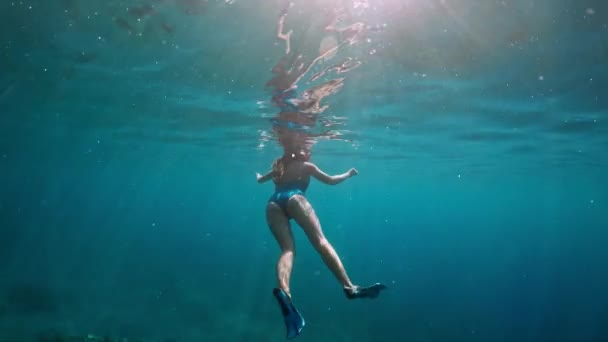 Portret kobiecy podwodne w niebieski ocean z dzień światło. Modne i wysportowane dziewczyny nurek sam w głębi oceanu — Wideo stockowe