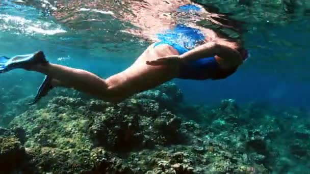 Jeune femme plongeant au-dessus des récifs coralliens dans une mer tropicale. Femme avec masque plongée avec tuba en eau claire — Video