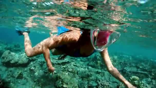 Frau mit Maske beim Schnorcheln im klaren Wasser. junge Frau schnorchelt über Korallenriffe in einem tropischen Meer. Frau mit Maske schnorchelt in tropischem Meer — Stockvideo