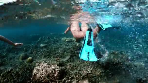 Jovem snorkeling sobre recifes de coral em um mar tropical. Mulher com máscara snorkeling em água limpa — Vídeo de Stock