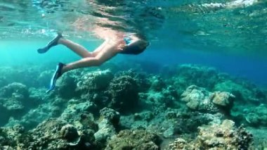 Tropikal deniz mercan kayalıkları üzerinde şnorkel genç bayan. Snorkeling maske temiz su ile kadın