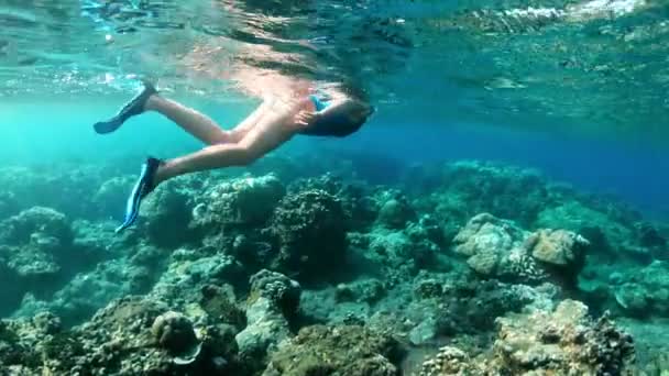 Jovencita haciendo snorkel sobre arrecifes de coral en un mar tropical. Mujer con máscara de snorkel en agua clara — Vídeos de Stock