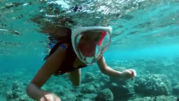 若い女性は、熱帯の海のサンゴ礁でシュノーケ リングします。マスクは、透明な水でシュノーケ リングを持つ女性 — ストック動画