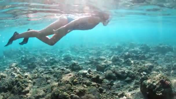 若い女性は、熱帯の海のサンゴ礁でシュノーケ リングします。マスクは、透明な水でシュノーケ リングを持つ女性 — ストック動画