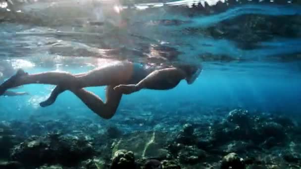 Frau mit Maske beim Schnorcheln im klaren Wasser. junge Frau schnorchelt über Korallenriffe in einem tropischen Meer. Frau mit Maske schnorchelt in tropischem Meer — Stockvideo