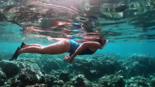 Mujer con máscara buceando en agua clara. Jovencita haciendo snorkel sobre arrecifes de coral en un mar tropical. Mujer con máscara de snorkel en un mar tropical — Vídeos de Stock