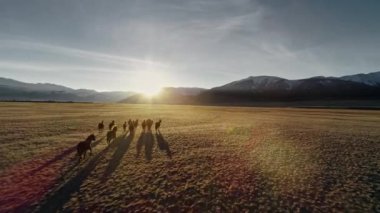 At kar çok Millî olan dağ zemin ile çayır ücretsiz çalışan