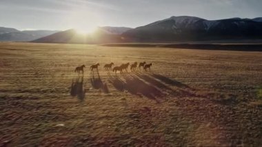 At kar çok Millî olan dağ zemin ile çayır ücretsiz çalışan