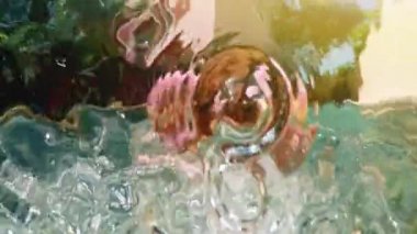 Kamera göz gülümseyen genç hipster bin yıllık kız havuz, serpilir çörek float. Genç mutlu kadın şişme havuz oyuncak güneşli mavi yüzme havuzunda rahatlatıcı.