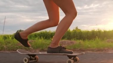 Lens Flare, Close Up: Tanınmayan sportif kadın güneşli bir bahar öğleden sonra pastoral yeşil parkta onu üst düzey köpek ile onu elektrik longboard sürme. Sevimli siyah köpek kaykay üzerinde seyir.
