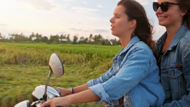 Casal atraente jovem de hipsters na moda ou millennials dirigindo para o novo destino de viagem emocionante em moto na estrada da floresta montesa . — Vídeo de Stock