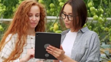 Tarım İşçileri dijital tablet kullanarak domates bitkileri kontrol. Rahat giysiler içinde güzel genç çift bir bitki tutuyor.