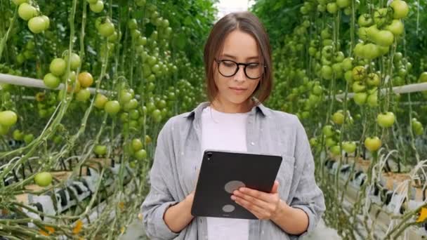 Νεαρή γυναίκα χρησιμοποιώντας ή παίζοντας tablet στο θερμοκήπιο. Καλλιέργεια πράσινων φυτών σε ζεστό σπίτι. — Αρχείο Βίντεο