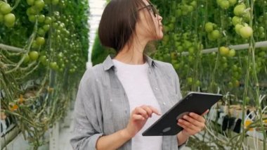 Serada Tablet Kullanan veya Oynayan Genç Kadın. Sıcak Evde Büyüyen Yeşil Bitki.