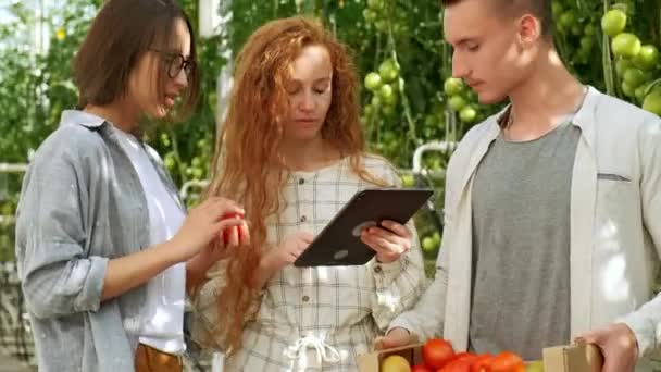 Jovens agricultores discutindo e conversando com um cientista de pesquisa agrícola. Colheitadeiras segurando um melão e apertando as mãos na fazenda de estufa de melão — Vídeo de Stock