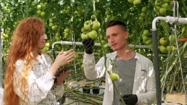 Portrét dohlížitele s schránky stojí proti farmáři na skleník — Stock video