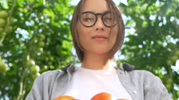 Mujer joven con guantes sosteniendo tomates rojos, trabajando en un invernadero . — Vídeos de Stock