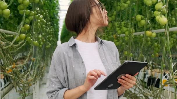 Jonge vrouw die tablet gebruikt of speelt in de kas. Groene plant groeit in warm huis. — Stockvideo