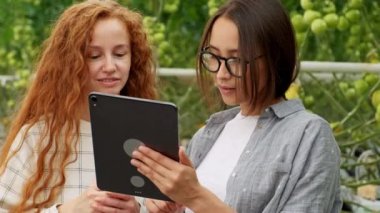 Tarım İşçileri dijital tablet kullanarak domates bitkileri kontrol. Rahat giysiler içinde güzel genç çift bir bitki tutuyor.