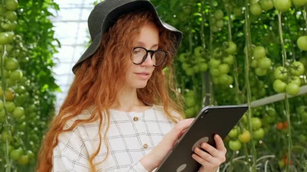 Młoda kobieta za pomocą lub grając tablet w szklarni. Zielona roślina rośnie w ciepłym domu. — Wideo stockowe