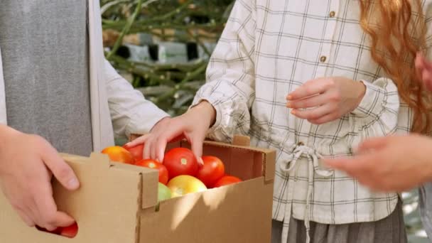 有機農家は温ハウスでトマトをチェックします。晴れた暑い日に台所の庭で野菜とウィッカーバスケットを持つ2人の笑い女の子. — ストック動画