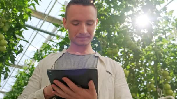 Jonge man die tablet gebruikt of speelt in de kas. Groene plant groeit in warm huis. — Stockvideo