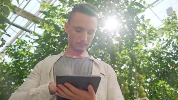 Hombre joven usando o jugando tableta en invernadero. Planta verde creciendo en una casa cálida . — Vídeo de stock