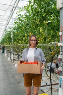 Kadın holding kutuyu domatesli
