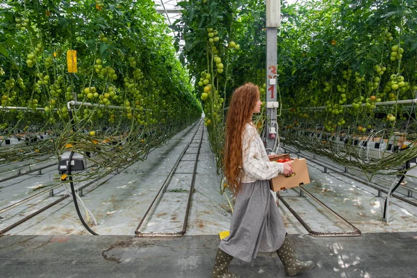 Vědec kontroluje rostliny. Ženská agronomka ve skleníku. Portrét mladé ženské pracující v zahradním centru. Ženská vědkyně — Stock fotografie