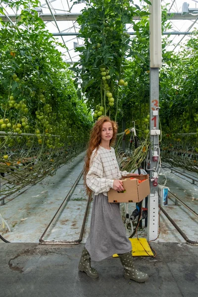 Wissenschaftler inspizieren Pflanzen. Agronomin im Gewächshaus. Porträt einer jungen Frau, die im Gartencenter arbeitet. Wissenschaftlerin — Stockfoto