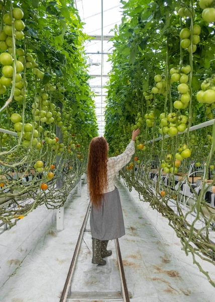 Wissenschaftler inspizieren Pflanzen. Agronomin im Gewächshaus. Porträt einer jungen Frau, die im Gartencenter arbeitet. Wissenschaftlerin — Stockfoto