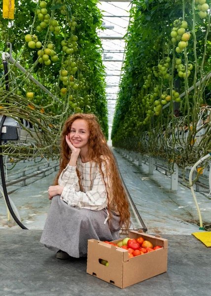 Ilmuwan memeriksa tanaman. Wanita agronomis di rumah kaca. Potret Seorang Wanita Muda Bekerja di Garden Center. Ilmuwan wanita — Stok Foto