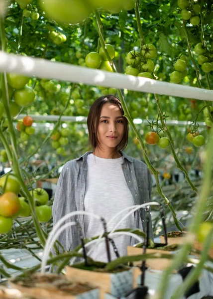 Porträt einer jungen Frau mit einem Korb voll frisch gepflückter Tomaten bei der Ernte im Gewächshaus eines kleinen landwirtschaftlichen Betriebs — Stockfoto