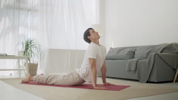 Man Practice Yoga Sun χαιρετισμός. Φροντίδα Σώματος Πρωινή Ρουτίνα στο Άνετο Εσωτερικό Δωμάτιο. Down and Up Facing Dog Pose Asana για περιποίηση σώματος, υγιή σπονδυλική στήλη και παραγωγική μέρα — Αρχείο Βίντεο