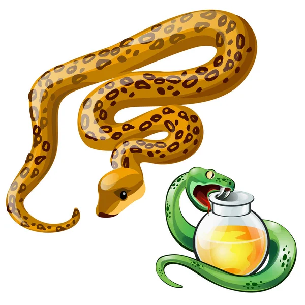 Deux serpents et une bouteille de poison . — Image vectorielle