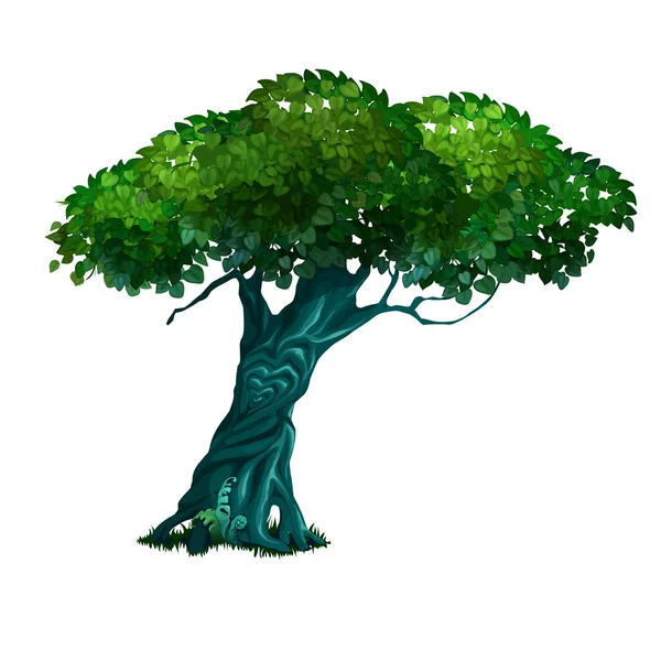 Samotny stary drzewo liściaste, izolowana na białym tle. Wirydarz-do góry ilustracja kreskówka wektor. — Wektor stockowy