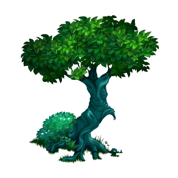 Vieil arbre caduc solitaire isolé sur fond blanc. Illustration en gros plan de dessin animé vectoriel . — Image vectorielle