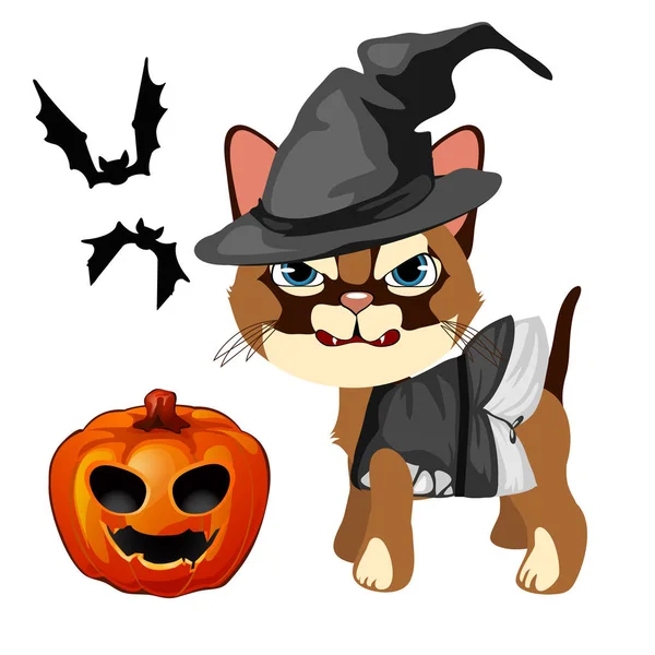 Die böse Katze in der Huthexe legt ihre scharfen Zähne offen. Kürbis mit geschnitzten Augen und Mund, Fledermäuse. die Reihe von Attributen des Feiertags halloween. Vektorillustration. — Stockvektor