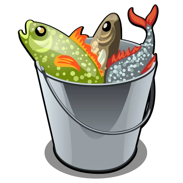 Un seau en acier inoxydable rempli de poissons colorés isolés sur fond blanc. Illustration vectorielle . — Image vectorielle