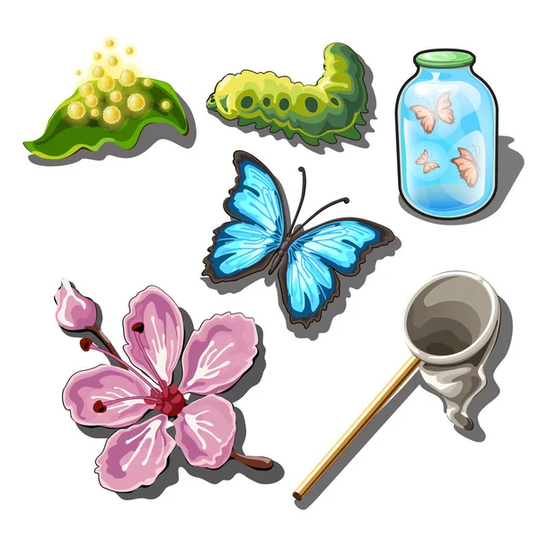El conjunto de objetos sobre el tema de la captura de mariposas aisladas sobre fondo blanco. Ilustración vectorial . — Vector de stock