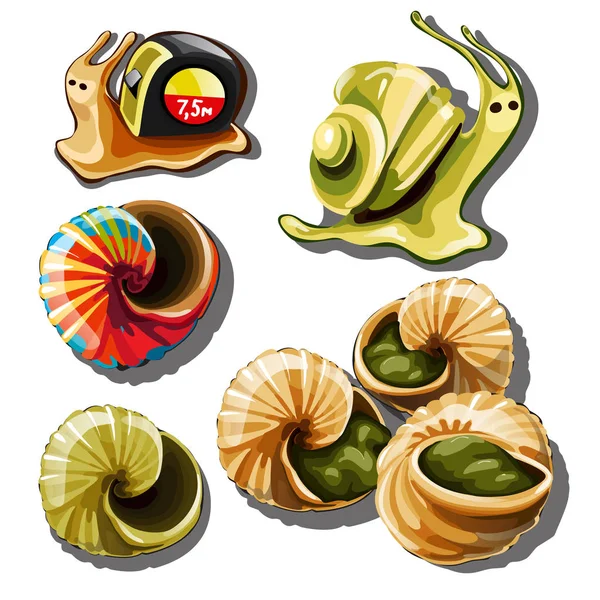 L'ensemble des objets sur le sujet des escargots isolés sur fond blanc. Illustration en gros plan de dessin animé vectoriel . — Image vectorielle