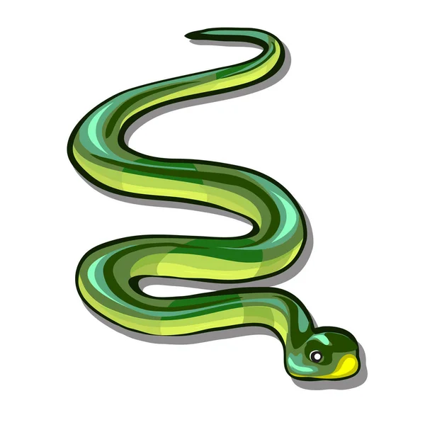Зелена змія ізольована на білому тлі. Векторний мультфільм крупним планом ілюстрація . — стоковий вектор