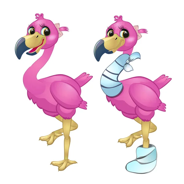 Egészséges és beteg flamingo elszigetelt fehér background. Vektor rajzfilm közeli illusztrációs. — Stock Vector