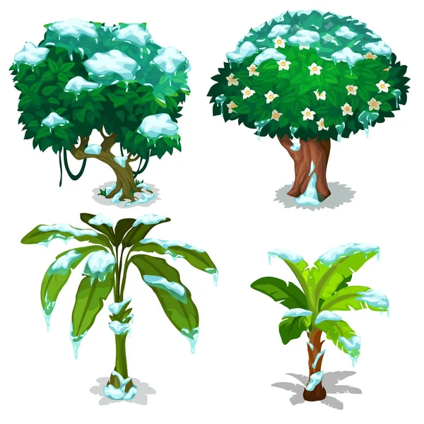 Árvores tropicais e plantas congeladas sob a neve isoladas sobre fundo branco. Desenhos animados vetoriais ilustração close-up . —  Vetores de Stock