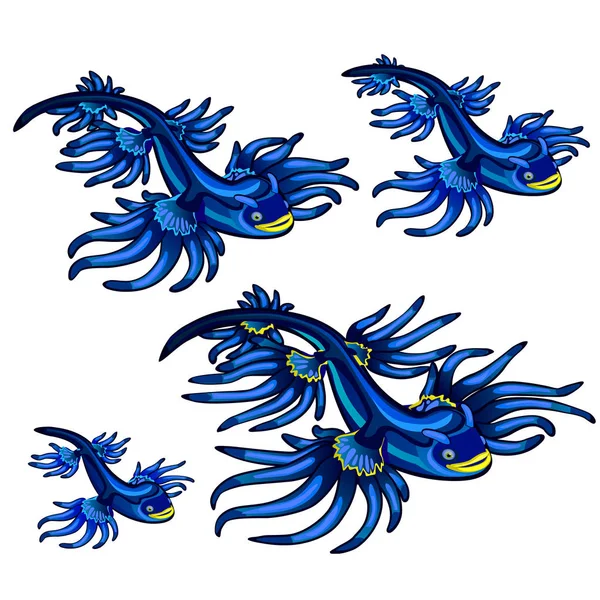 Molusco gasterópodo Glaucus atlanticus, el dragón azul aislado sobre fondo blanco. ilustración de primer plano de dibujos animados vectoriales . — Archivo Imágenes Vectoriales