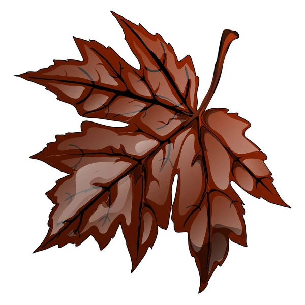 Feuille d'érable brun d'automne isolée sur fond blanc. Illustration en gros plan de dessin animé vectoriel . — Image vectorielle